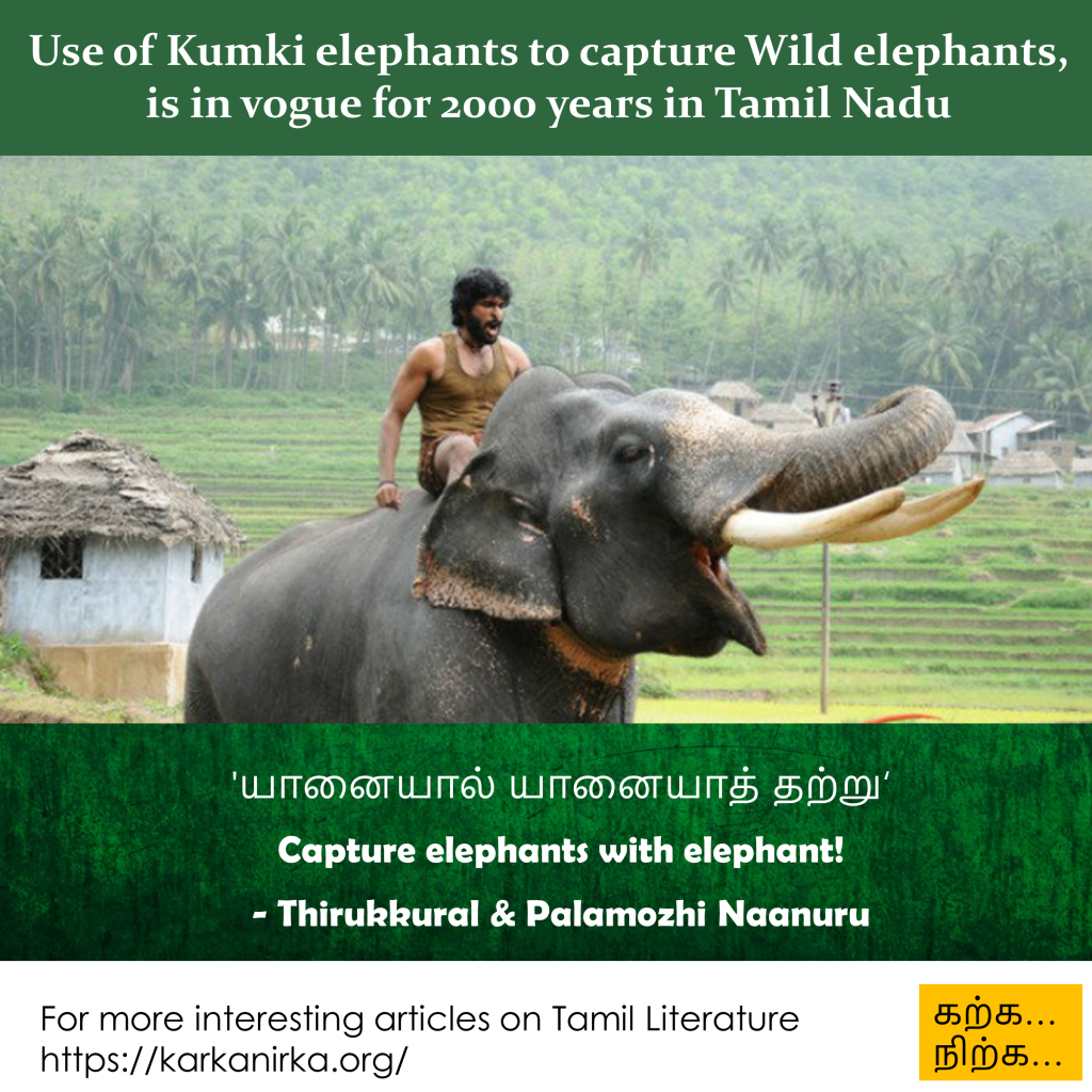 Capture an Elephant with an Elephant – Palamozhi Naanooru 29